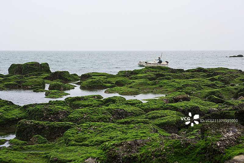 徐闻白茅海绿石头图片素材