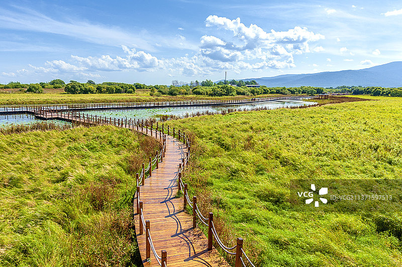中国黑龙江佳木斯抚远黑瞎子岛湿地公园图片素材