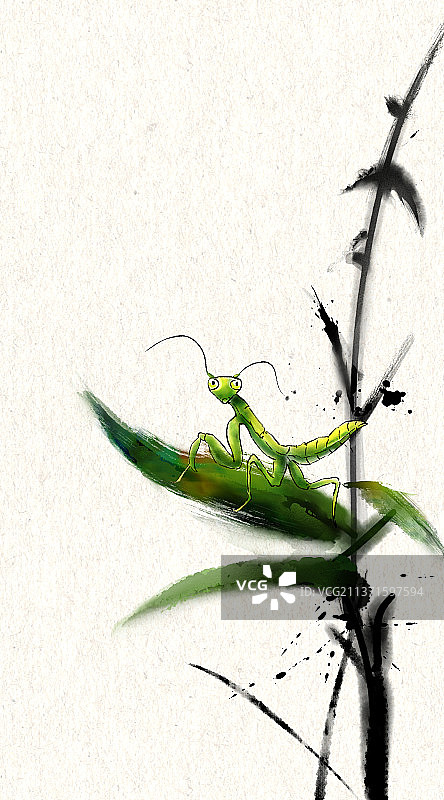 中国风昆虫24节气手绘水墨插画图片素材