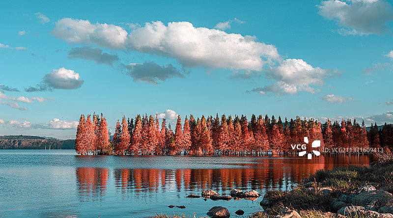 滇池秋色图片素材