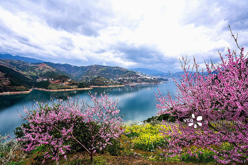 桃花映峡江图片素材