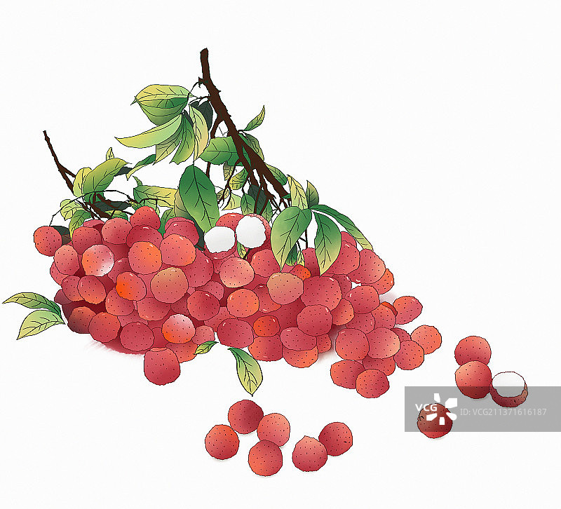 中国风水墨画新鲜的荔枝图片素材