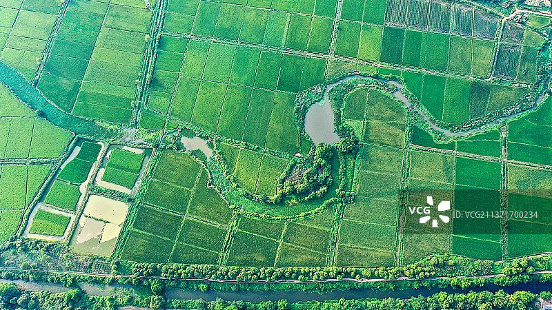 2021年9月9日，无人机镜头下江西省宜春市上高县芦洲乡新桥村的稻田景色。图片素材