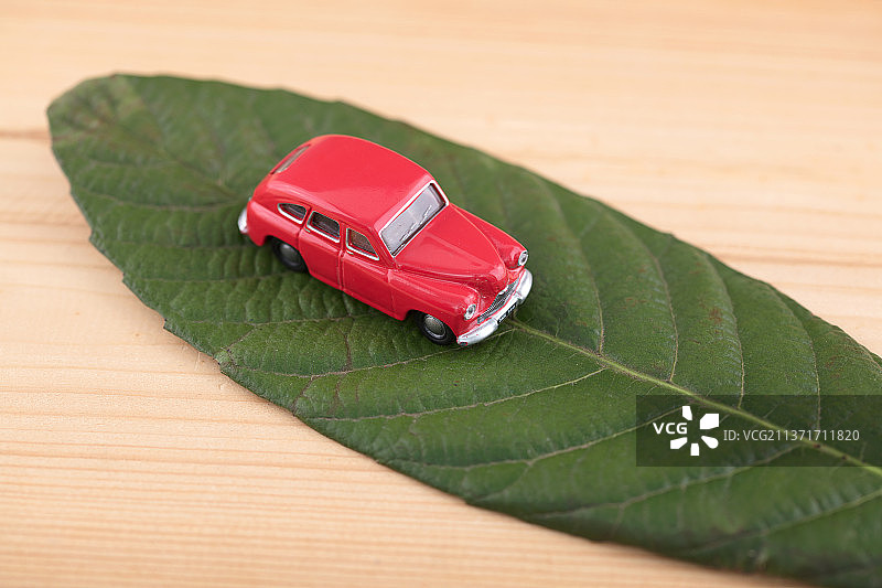 绿色树叶上的小汽车模型图片素材