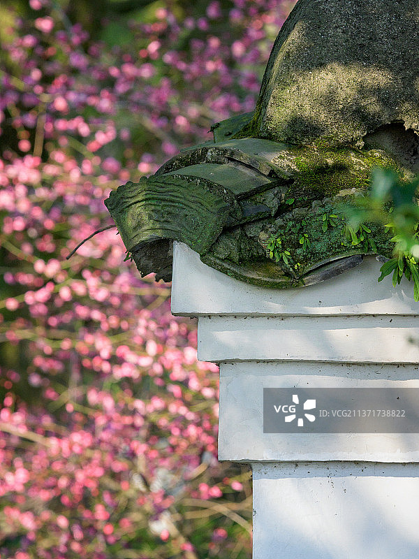 瓦当青苔图片素材