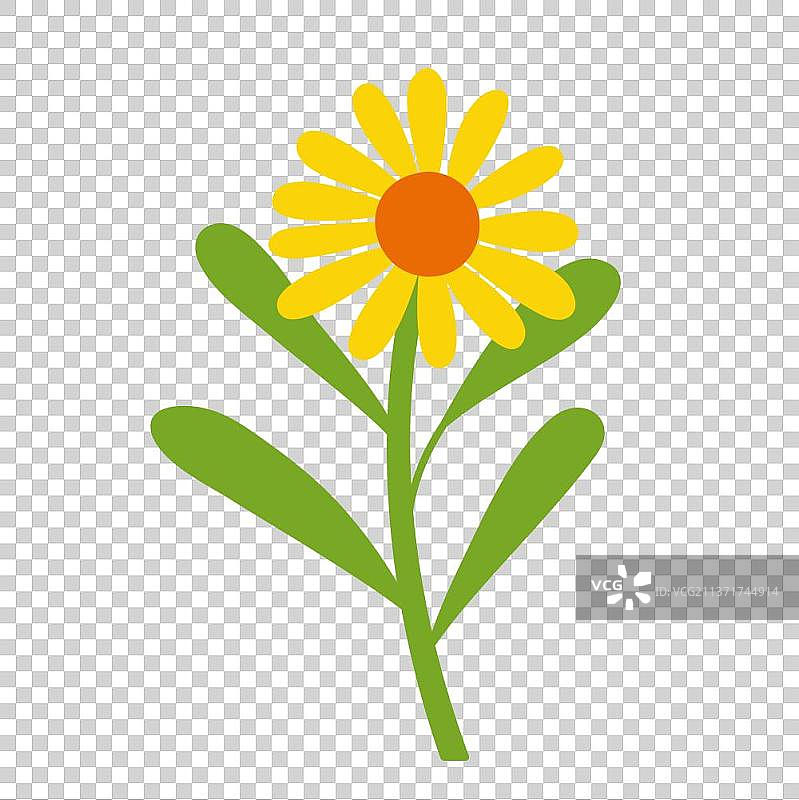 一朵花图片素材