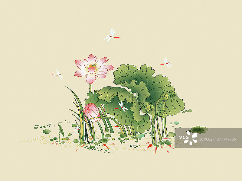 中国风水墨画夏日荷塘图片素材