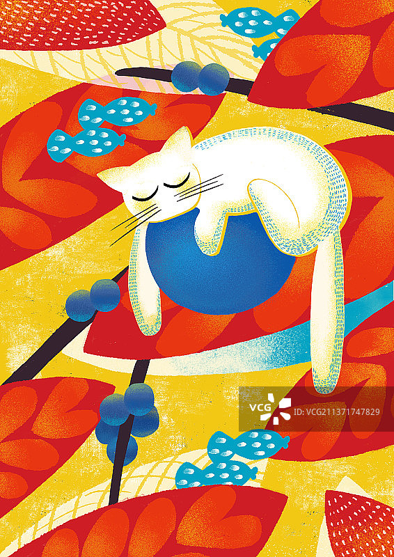 可爱猫咪睡觉和鱼图片素材