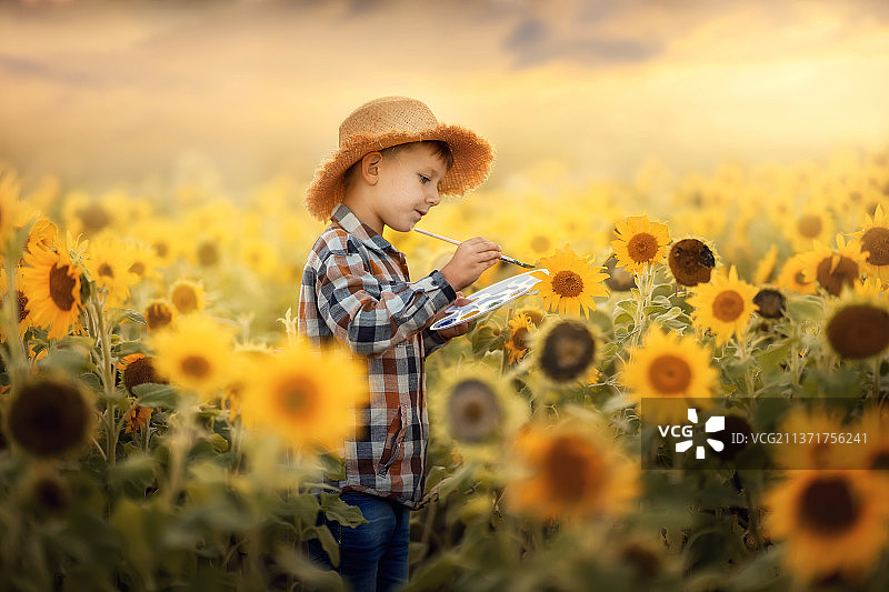 戴帽男孩站在向日葵田中图片素材