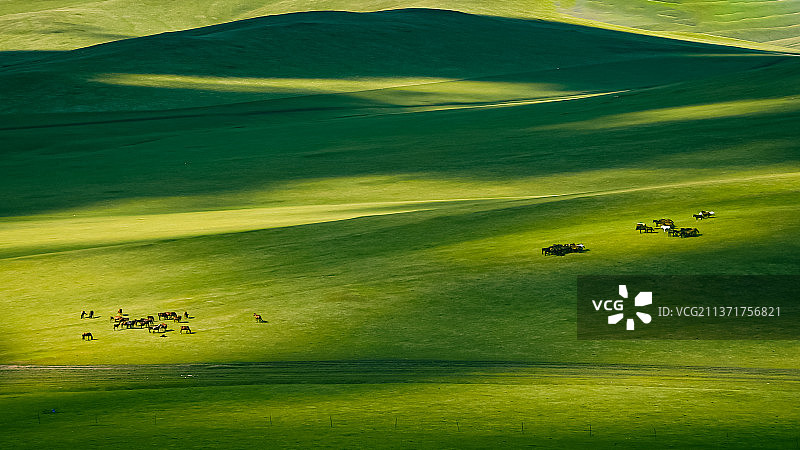 呼伦贝尔草原光影图片素材