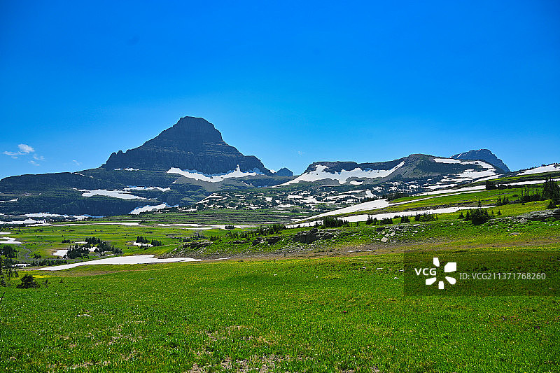 冰川国家公园的田野风光（美国蒙大拿州）图片素材