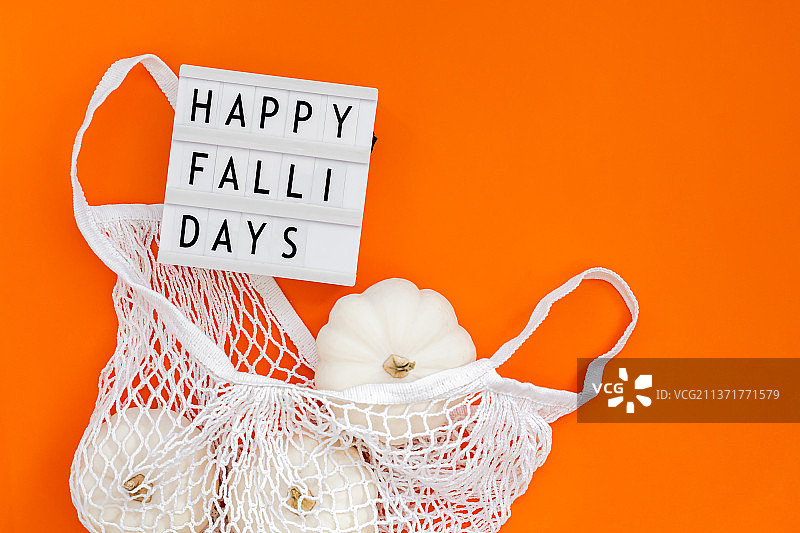 零浪费概念与秋季南瓜图片素材