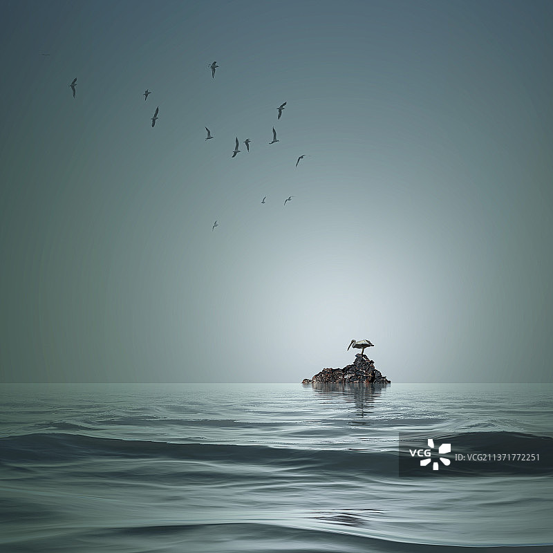 从低角度拍摄的飞鸟掠过大海，背景是晴朗的天空，印度尼西亚图片素材