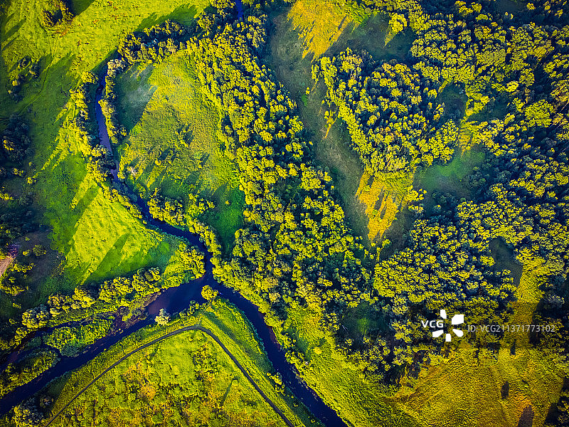 郁郁葱葱的树木附近的河流航拍图片素材