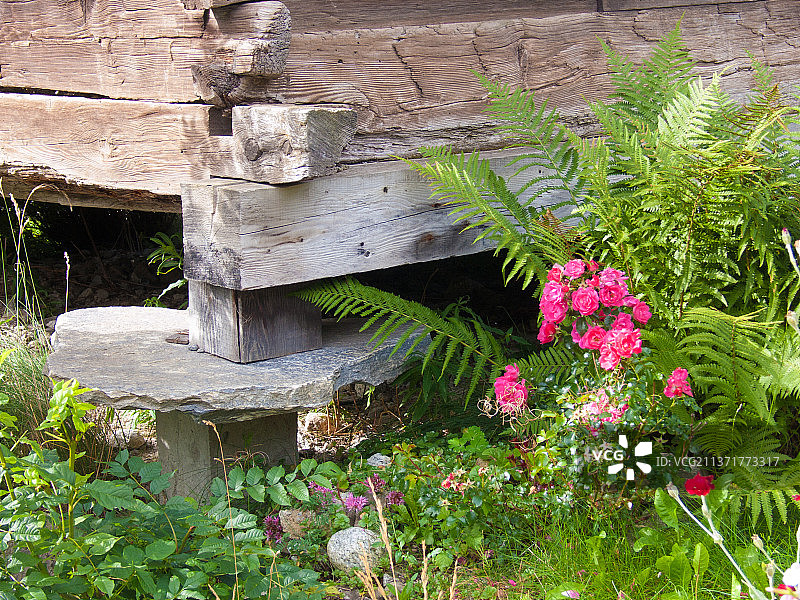 木甲板下生长的植物特写图片素材