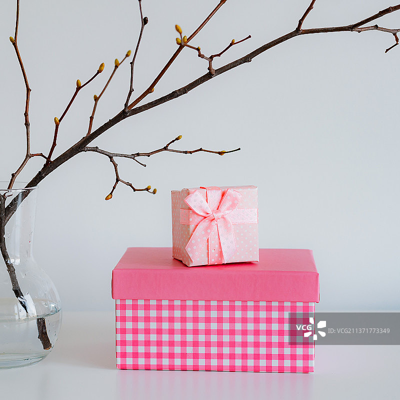 节日banner粉彩配色礼品盒与树枝图片素材