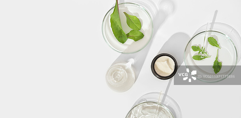 带有绿色草本叶子和科学仪器的化妆品瓶容器图片素材