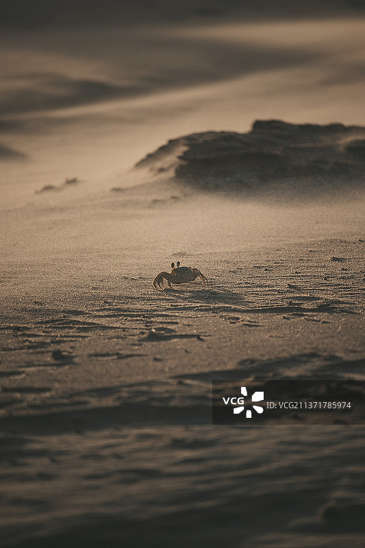 巴西北里奥格兰德州Praia do Forte的日落海景图片素材