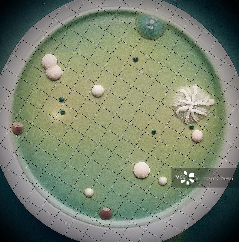 桌上装饰特写图片素材