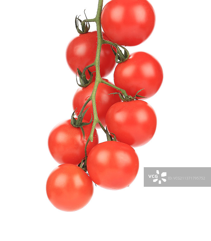 樱桃番茄特写，白色背景，摩尔多瓦图片素材