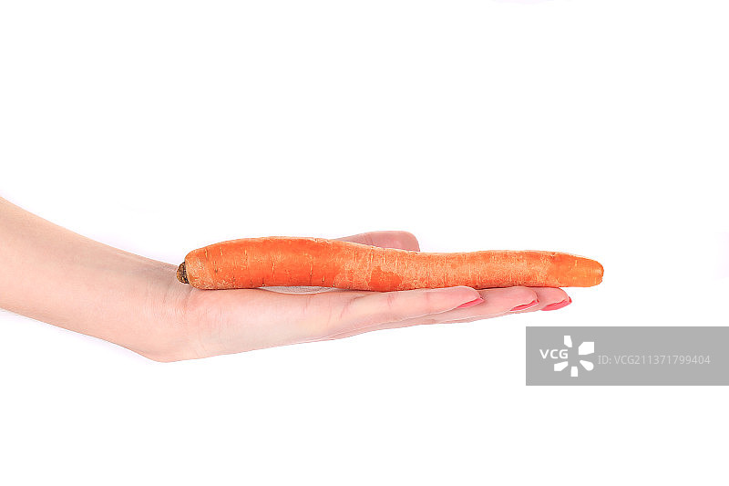 女人手持新鲜胡萝卜，在白色背景下拿着胡萝卜的裁剪手，摩尔多瓦图片素材