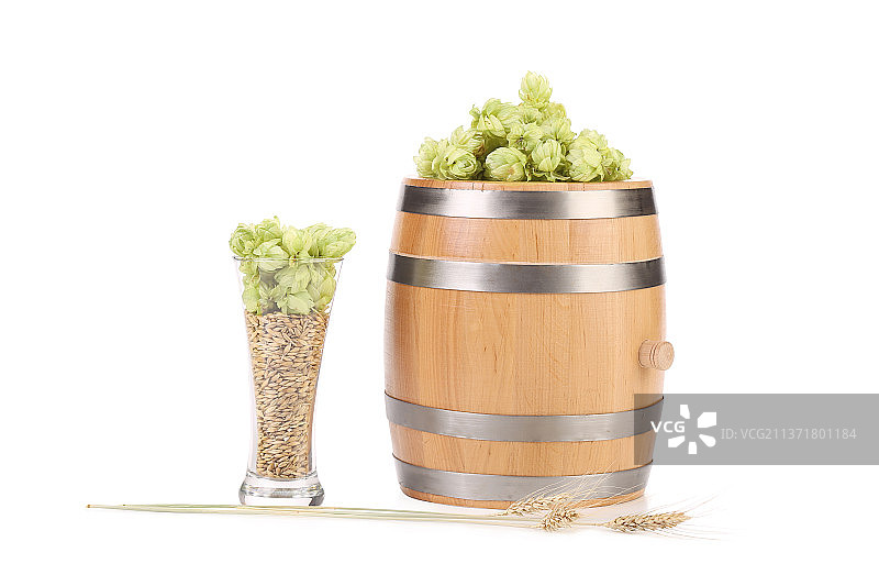 啤酒桶和啤酒杯与啤酒花大麦，盆栽植物的特写，摩尔多瓦图片素材