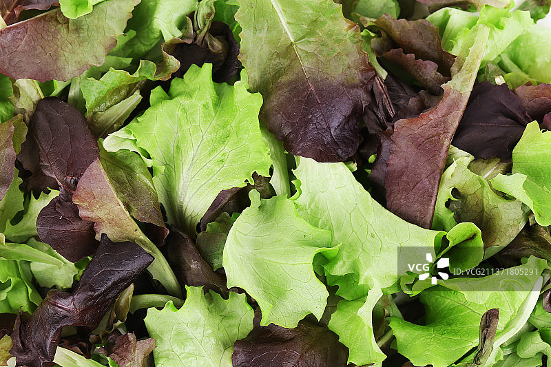 近距离观察的红绿生菜叶图片素材