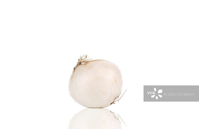 一颗白色洋葱特写，白色背景，摩尔多瓦图片素材