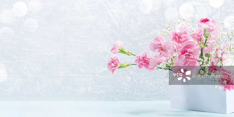 浅灰色母亲节banner上的粉色康乃馨和满天星图片素材