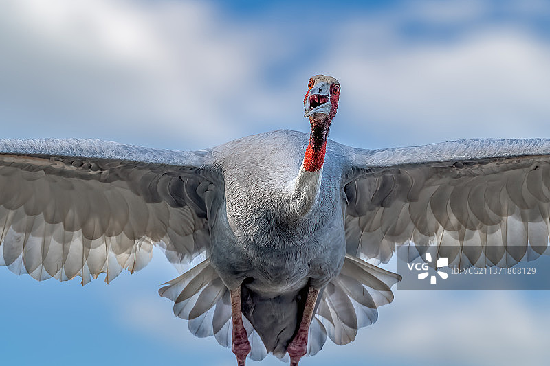 印度，起重机低角度飞行图片素材