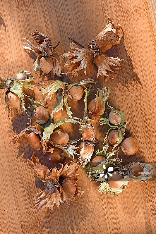 木桌上的榛子（法国）图片素材