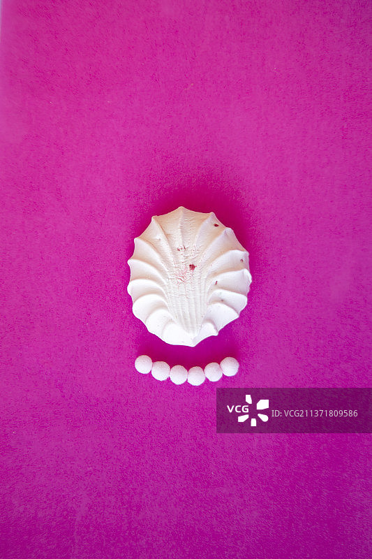 粉色背景上的贝壳俯视图图片素材