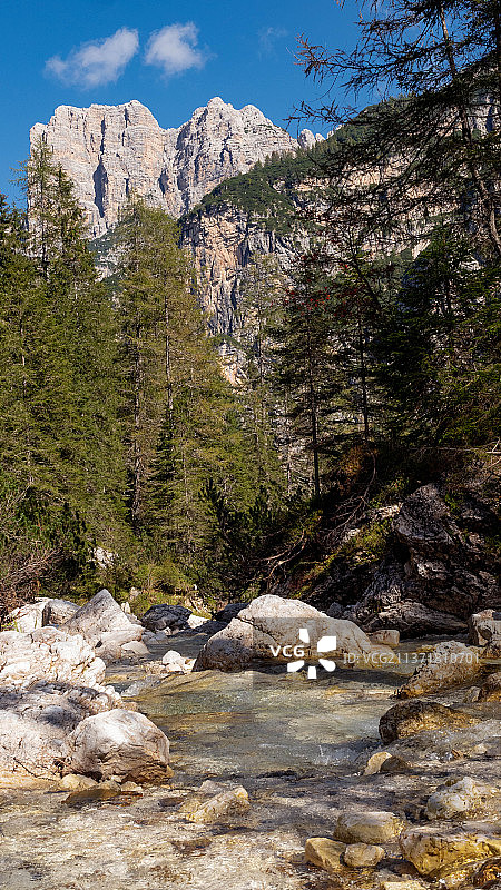 意大利贝卢诺佐尔多河畔的树木风光图片素材