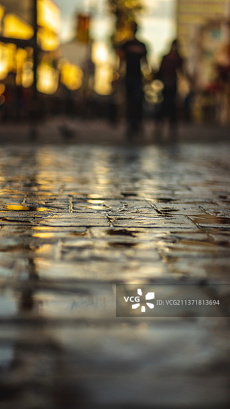 墨西哥奇瓦瓦雨季湿漉漉的街道特写图片素材