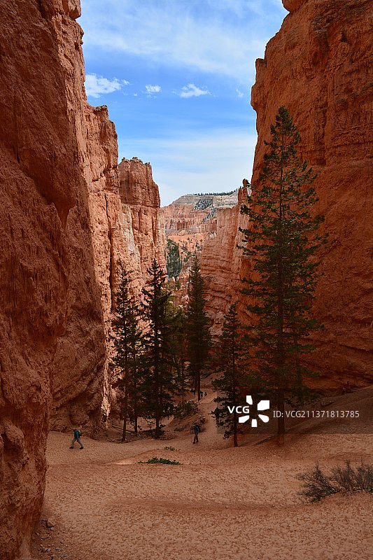 布莱斯峡谷国家公园岩层景观，美国犹他州图片素材