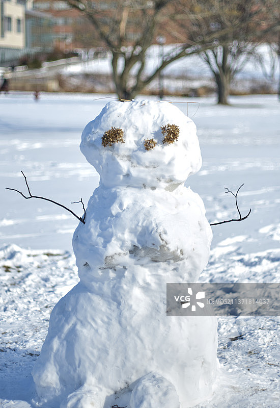 冬季田野上的雪人特写图片素材