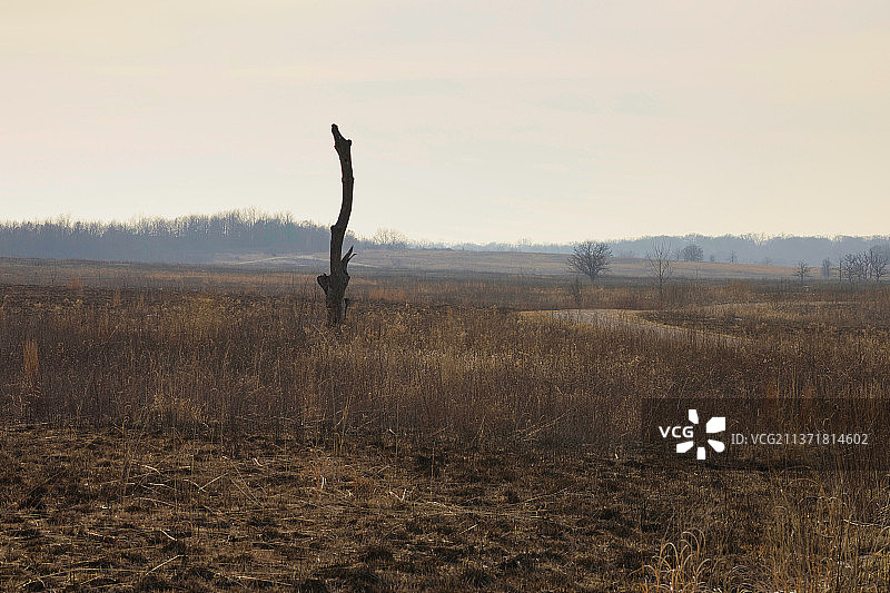 日落时天空映衬下的风景图片素材