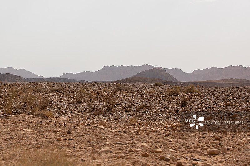 以色列犹太沙漠的山脉、岩石和丘陵图片素材