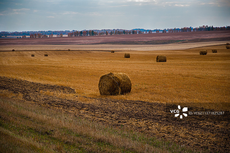 秋日公路风景：俄罗斯阿尔泰边疆区巴尔瑙尔市郊外田野景色图片素材