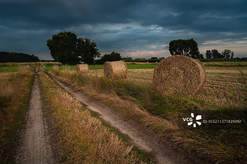 田野旁的乡间小路图片素材