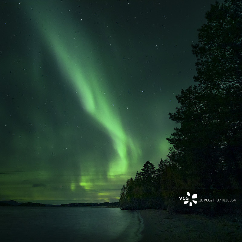 瑞典拉普兰湖岸夜空中的北极光图片素材