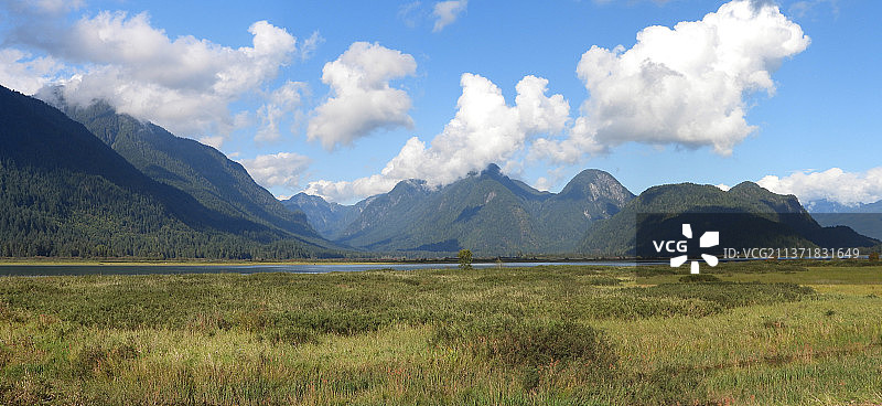 阳光明媚的春日积云景观，不列颠哥伦比亚省加拿大山脉全景图片素材