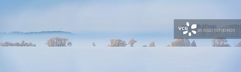 冰霜冬雪，白雪覆盖的土地全景图片素材