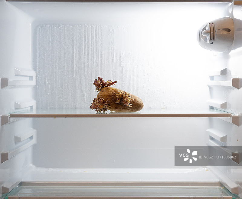 冰箱里发霉的土豆图片素材