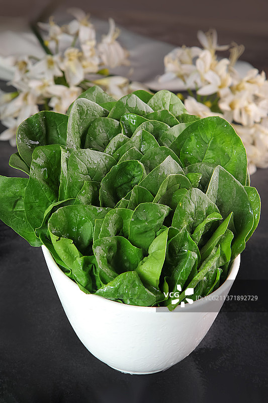 中餐美食-菠菜图片素材