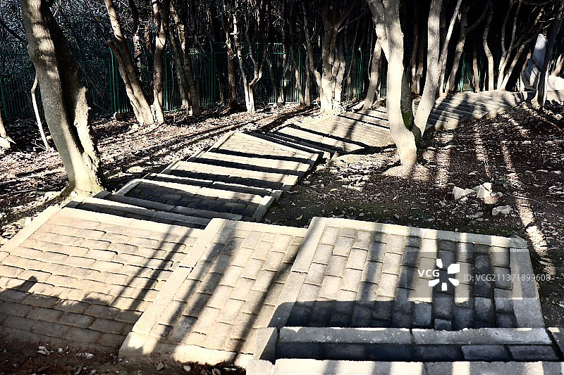 苏州·香雪海图片素材