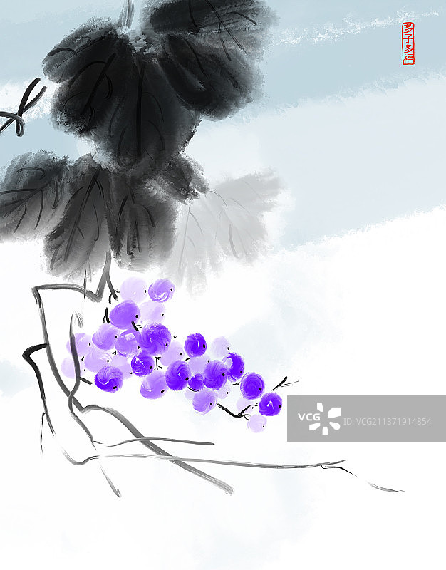 营养美味水果葡萄图片素材