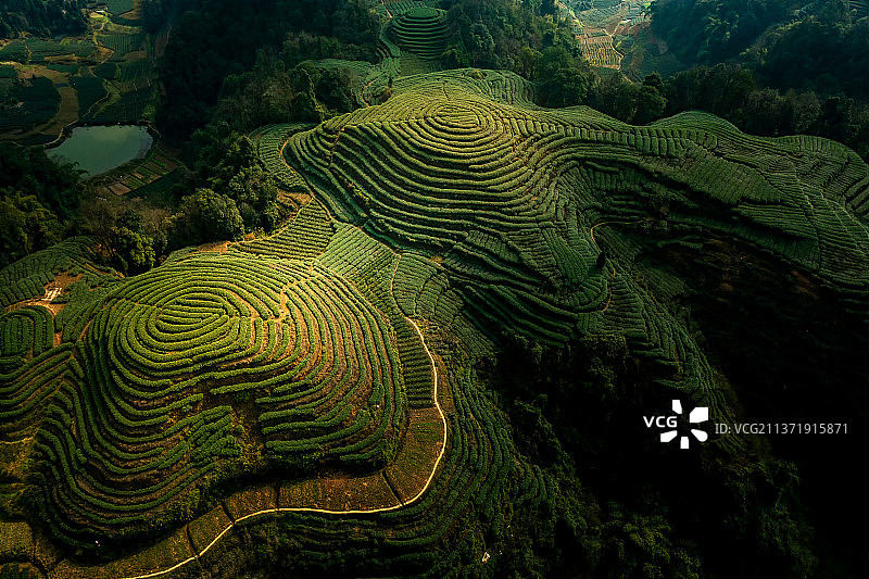 雅安名山大地指纹图片素材