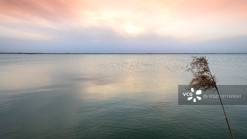 扬州江都区邵伯湖落日晚霞芦苇随风飘逸图片素材