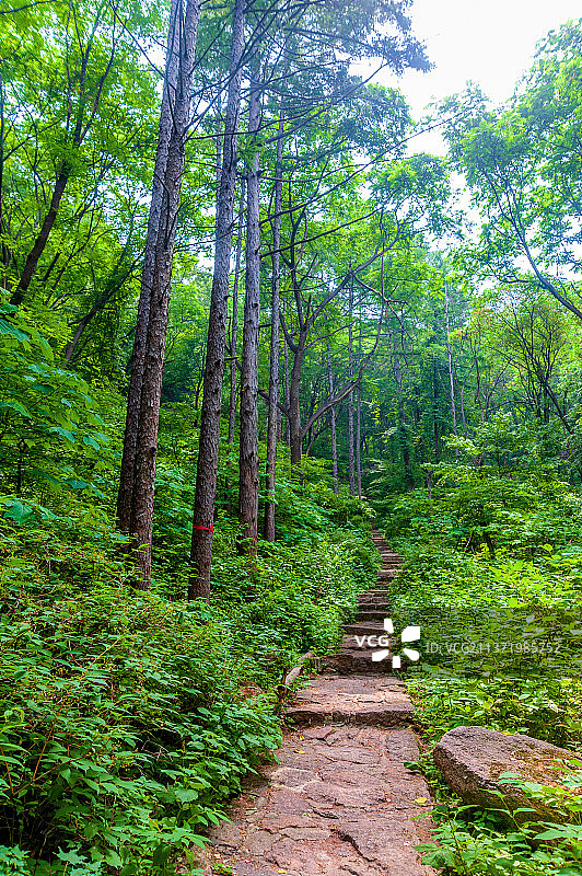 中国辽宁鞍山千山仙人台图片素材